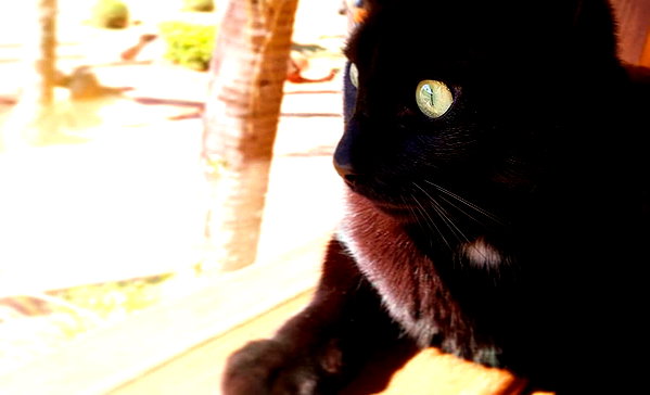 maimynyan instagram image archive image