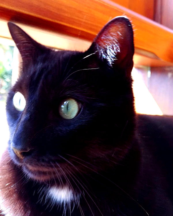 maimynyan instagram image archive image