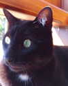 maimynyan Altpins Profile Picture