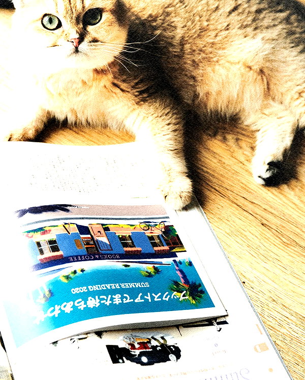 maomao.418 instagram image archive image
