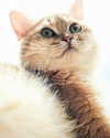 maomao.418 Altpins Profile Picture
