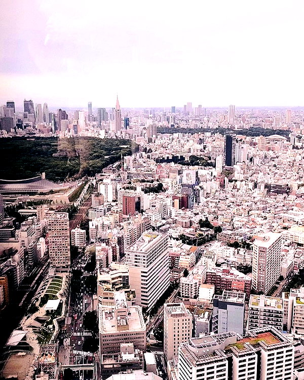 maomao.418 instagram image archive image