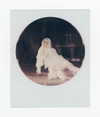 maomao.418 Altpins Profile Picture