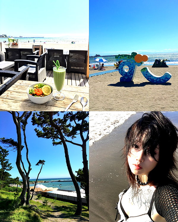 maomao.418 maomao.418 archive image