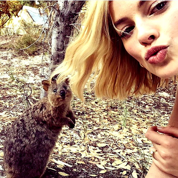 margotrobbieofficial instagram image archive image