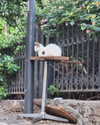 maria.gothman Altpins Profile Picture