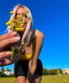 maria_domark Altpins Profile Picture