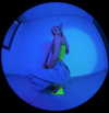 maria_domark Altpins Profile Picture