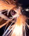 maria_domark Altpins Profile Picture
