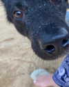 mariacherry_girl Altpins Profile Picture