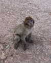 mariaffbb Altpins Profile Picture