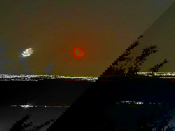 marsonargo marsonargo archive image