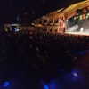 masood_boomgaard Altpins Profile Picture