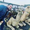 masood_boomgaard Altpins Profile Picture