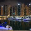 masood_boomgaard Altpins Profile Picture