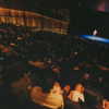 masood_boomgaard Altpins Profile Picture
