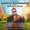 masood_boomgaard Altpins Profile Picture