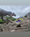 masood_boomgaard Altpins Profile Picture
