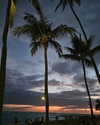 masood_boomgaard Altpins Profile Picture