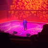 masood_boomgaard Altpins Profile Picture