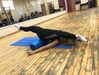 may__hillel Altpins Profile Picture