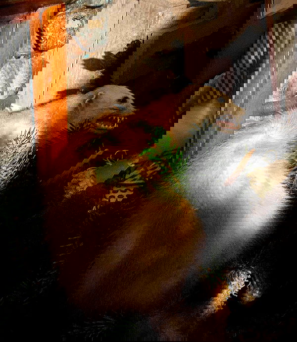 mayamorgannnnnn mayamorgannnnnn archive image