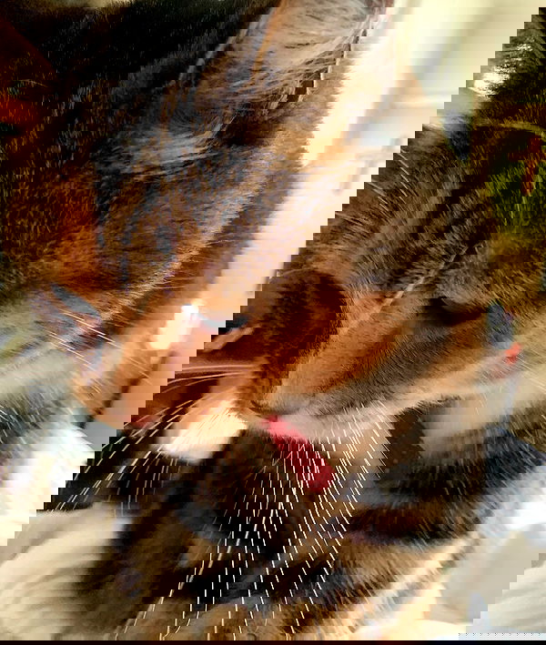 mayamorgannnnnn mayamorgannnnnn archive image