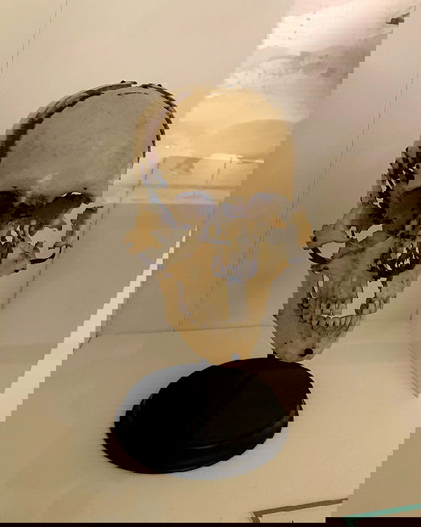 mayamorgannnnnn mayamorgannnnnn archive image