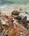 mayan.cohen Altpins Profile Picture