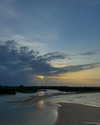 mayan.cohen Altpins Profile Picture