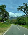 mayan.cohen Altpins Profile Picture