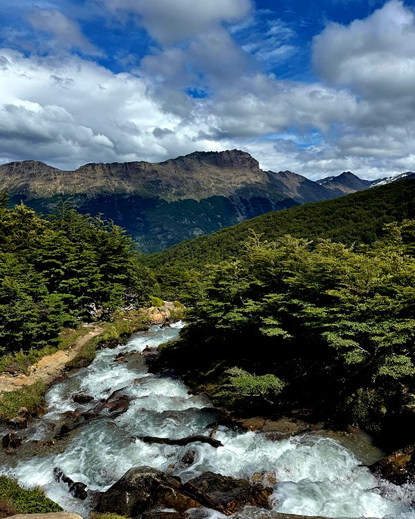 mayan.cohen instagram image archive image
