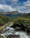 mayan.cohen Altpins Profile Picture