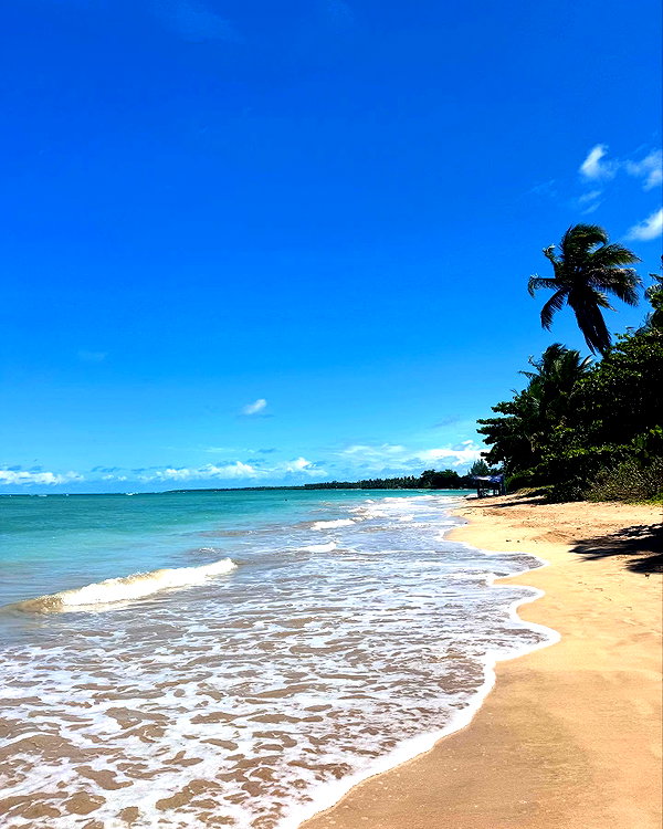 mayan.cohen instagram image archive image