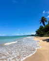 mayan.cohen Altpins Profile Picture