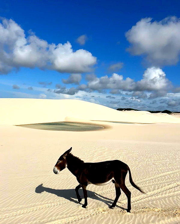 mayan.cohen instagram image archive image