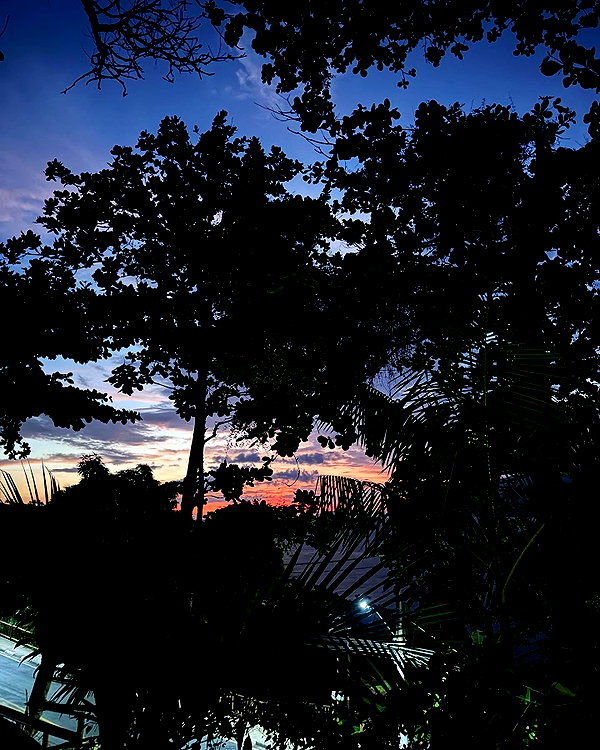mayan.cohen instagram image archive image