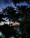 mayan.cohen Altpins Profile Picture