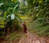 maycohen8 Altpins Profile Picture