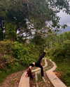 maycohen8 Altpins Profile Picture