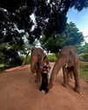 maycohen8 Altpins Profile Picture