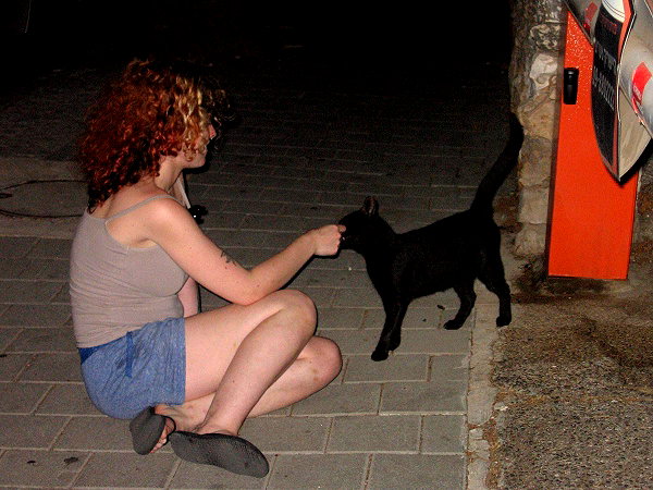 mbbyaya mbbyaya archive image