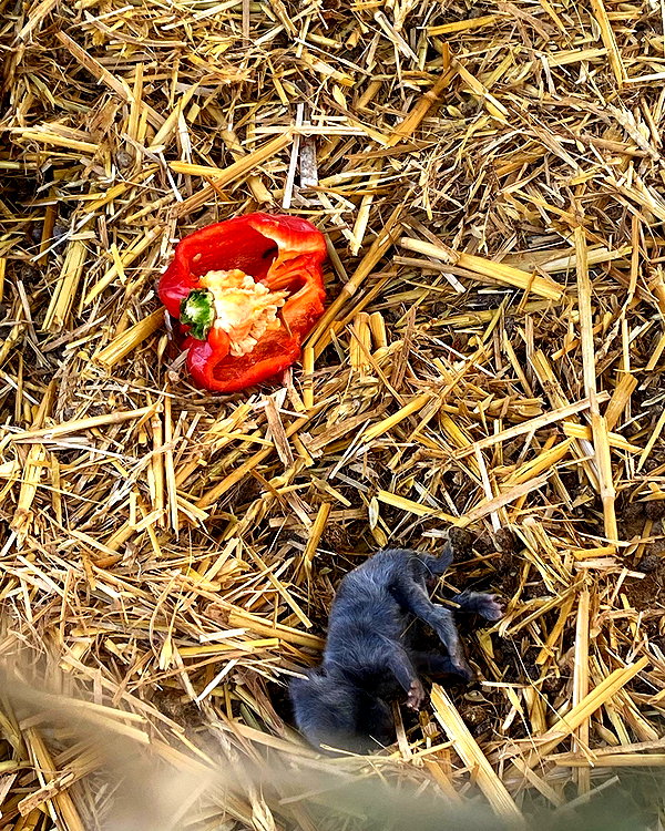 mbbyaya instagram image archive image