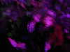 mbbyaya Altpins Profile Picture