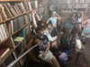 mbbyaya Altpins Profile Picture