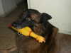 mbbyaya Altpins Profile Picture