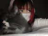 meeyinara Altpins Profile Picture