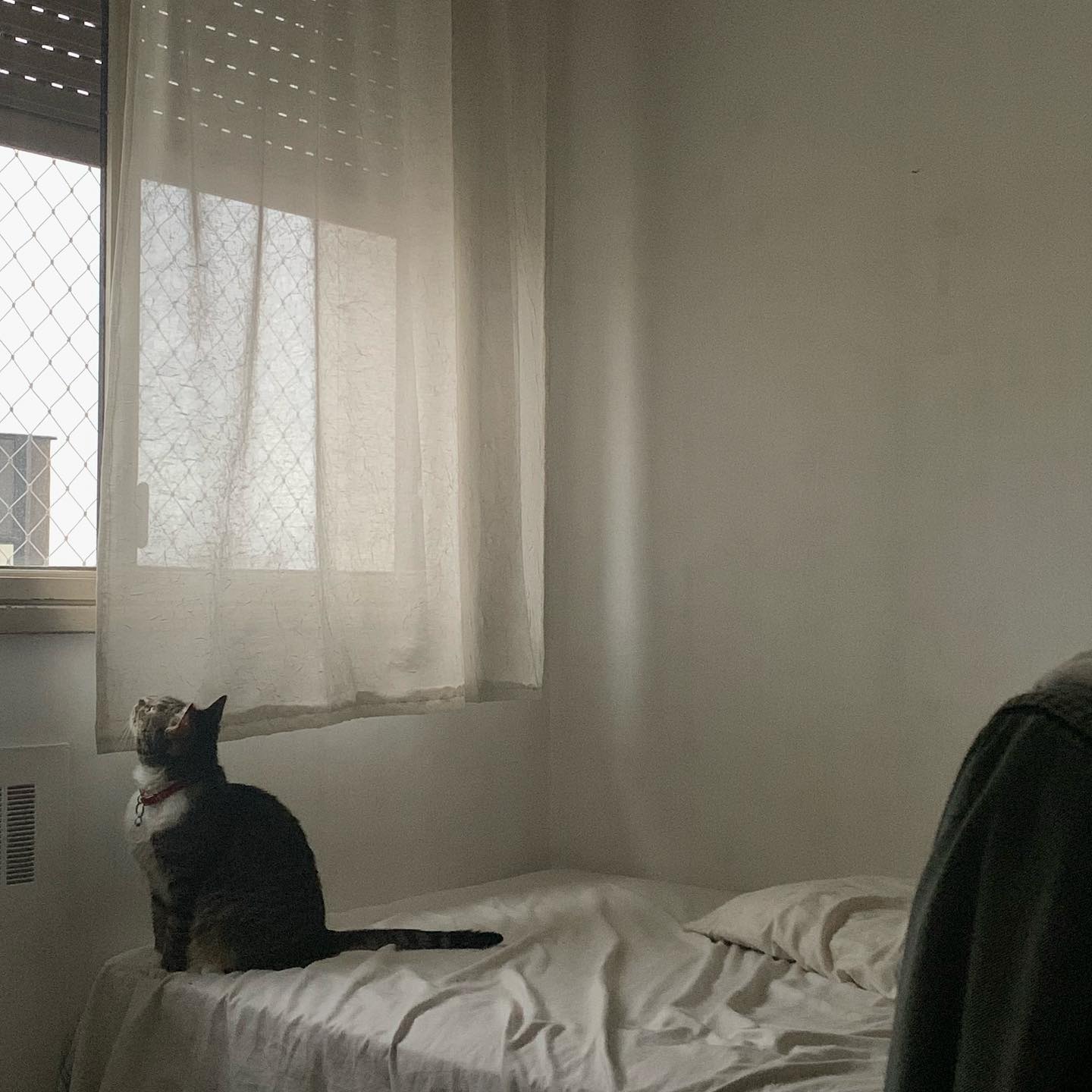 melbruno instagram image archive image