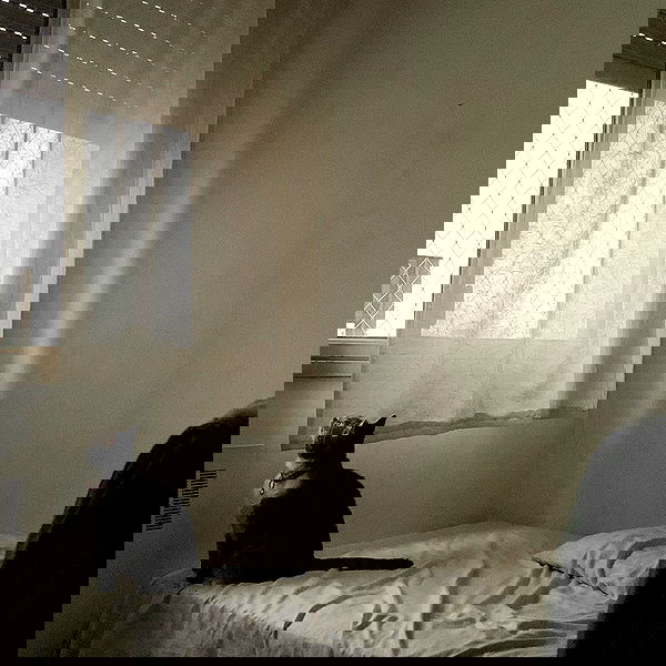 melbruno image ~ Altpins