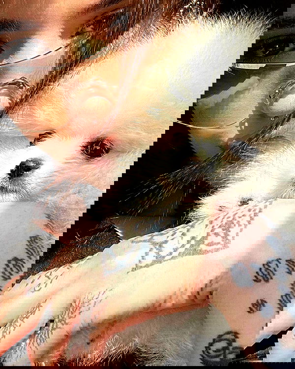 meleeva meleeva archive image